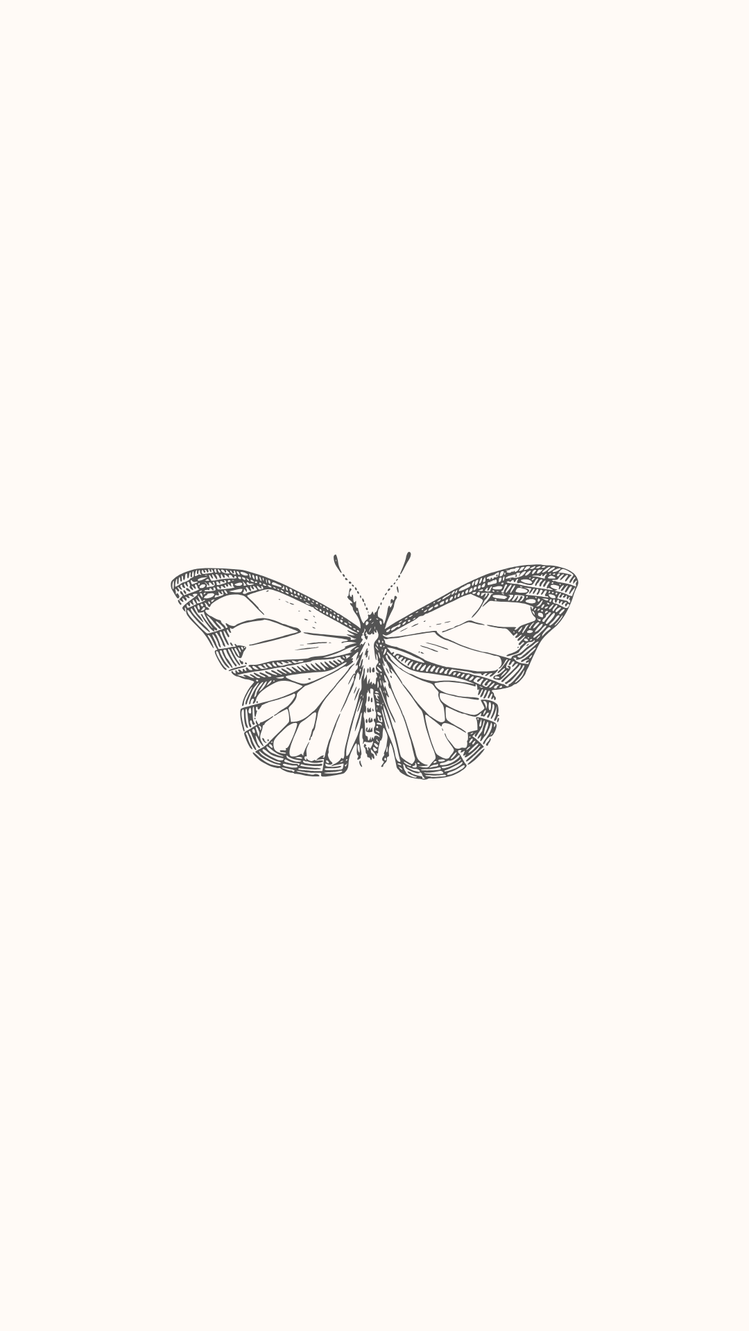 Butterfly Phone Wallpaper